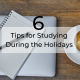 holiday study tips