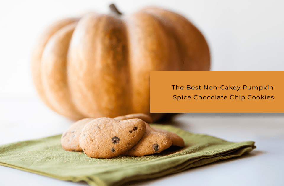 pumpkin spice chocolate chip cookies