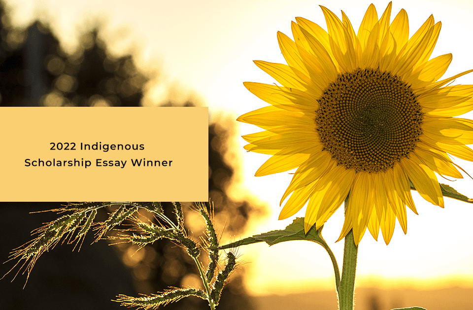 Indigenous scholarship