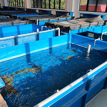 Aquaculture Technology
